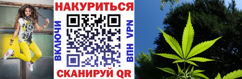 Канабис Ganja  закладка  Сясьстрой 